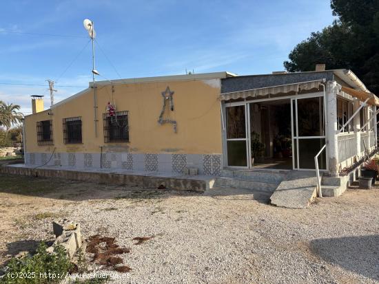 CHALET CON PARCELA INDEPENDIENTE EN ZONA TRANQUILA - ALICANTE