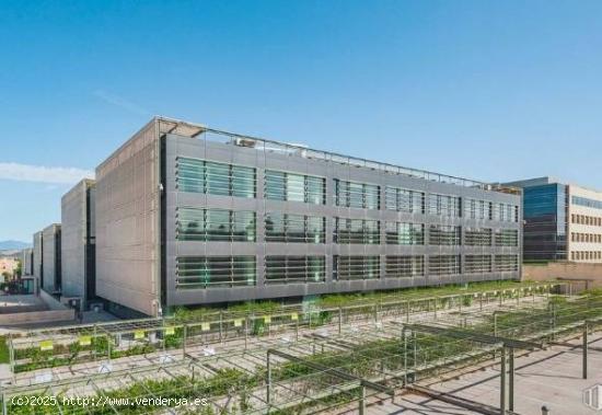 Campus empresarial con zonas ajardinadas modulables en tres edificios dotados de las mejores calidad