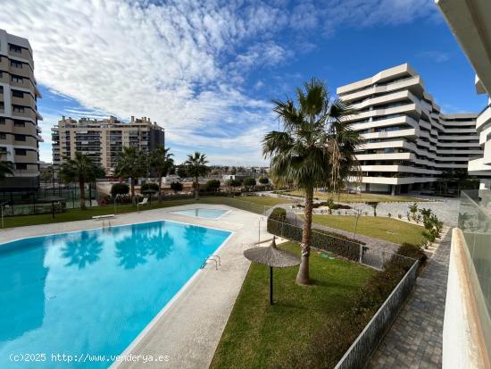 VENTA DE PISO EN ZONA PAU 5 ALICANTE - ALICANTE