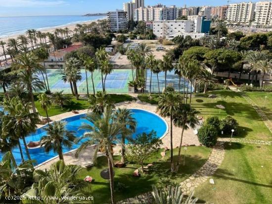 ESPECTACULAR VIVIENDA EN  VENTA 1ª LINEA DE PLAYA MUCHAVISTA- EL CAMPELLO - ALICANTE