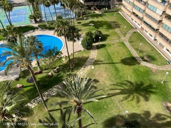 ESPECTACULAR VIVIENDA EN  VENTA 1ª LINEA DE PLAYA MUCHAVISTA- EL CAMPELLO - ALICANTE