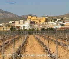 BUNGALOWS DE OBRA NUEVA EN HONDON DE LAS NIEVES - ALICANTE