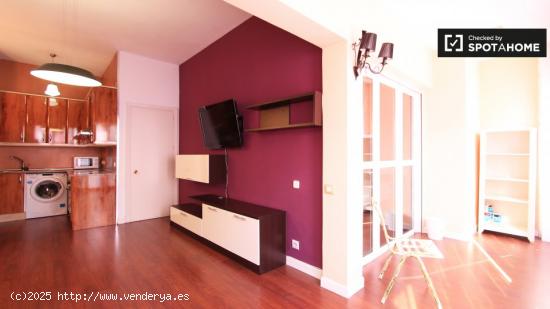 Amplio apartamento de 1 dormitorio con aire acondicionado en alquiler en Lavapiés - MADRID