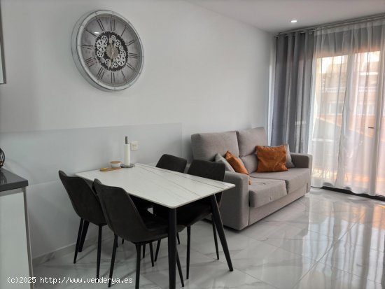 Estudio en venta a estrenar en Torrevieja (Alicante)