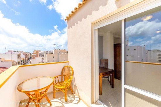 Estudio en venta en Torrevieja (Alicante)