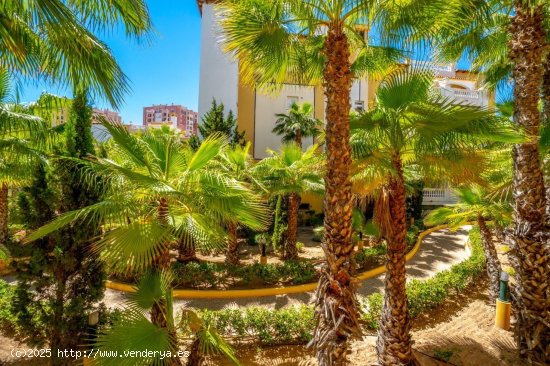 Apartamento en venta en Torrevieja (Alicante)