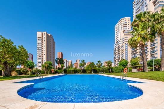 Piso en alquiler en Benidorm (Alicante)