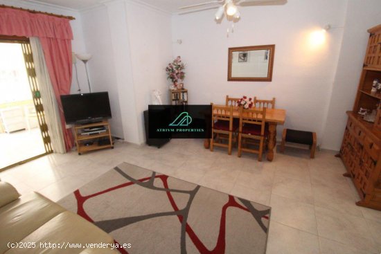 Apartamento en alquiler en Torrevieja (Alicante)