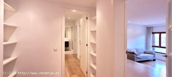 Apartamento en alquiler en Palma de Mallorca (Baleares)