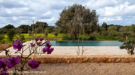 Finca en venta en Felanitx (Baleares)