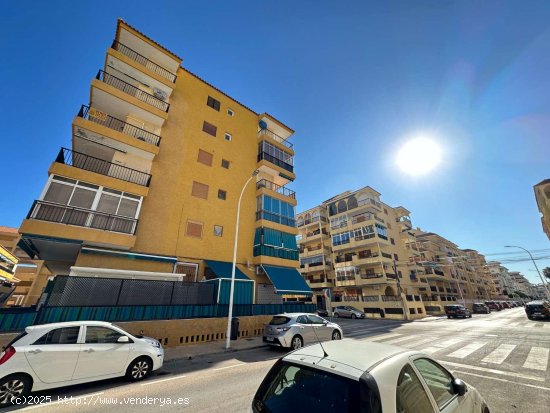  Apartamento en venta en Torrevieja (Alicante) 