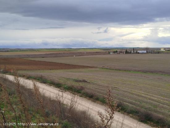 TIERRAS RÚSTICAS BARGAS - LA ESTACIÓN - TOLEDO