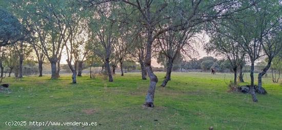 PRECIOSA FINCA RÚSTICA CERCANA AL CASCO DE GALAPAGAR - MADRID