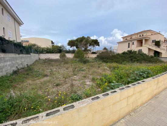 Parcela de 800 m2 en can picafort - BALEARES