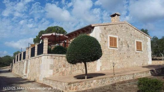 Se Alquila en Vilafranca de Bonany - BALEARES