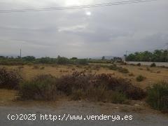  Terreno rústico en Elche de 20.300 m2 en  zona Llano San José - ALICANTE 