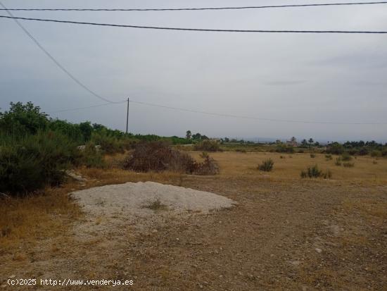 Terreno rústico en Elche de 20.300 m2 en  zona Llano San José - ALICANTE