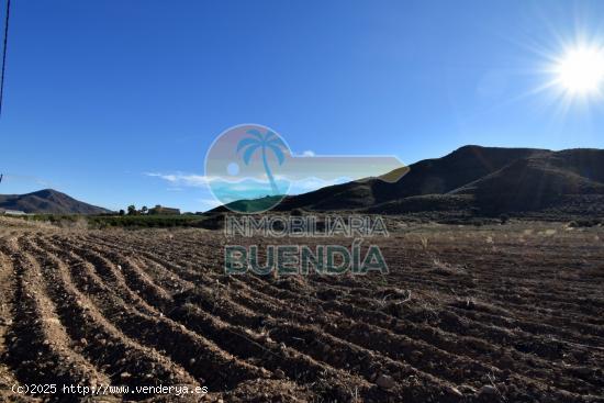 Terreno Rústico en Lorca zona Morata - MURCIA