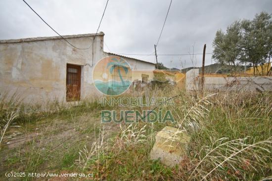  DOS CASAS DE CAMPO A LA VENTA EN TALLANTE - MURCIA 