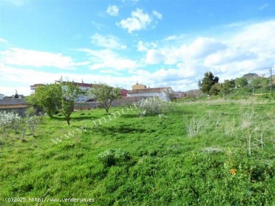 Parcela urbana en Los Arcos. - NAVARRA