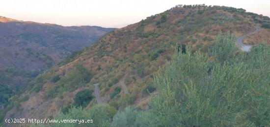  Finca Rústica en Yunquera - MALAGA 