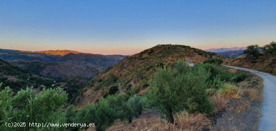 Finca Rústica en Yunquera - MALAGA