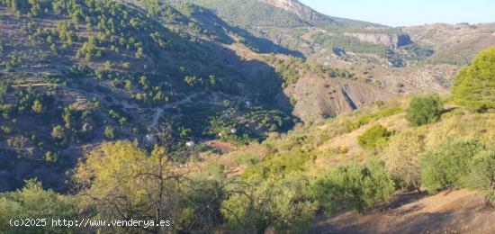 Finca Rústica en Yunquera - MALAGA