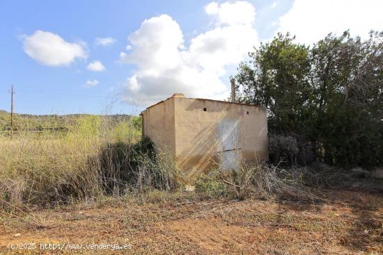 Finca rústica con caseta de aperos - TARRAGONA