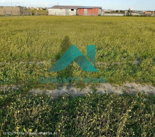  TERRENO rural  EN MALPARTIDA DE CÁCERES - CACERES 