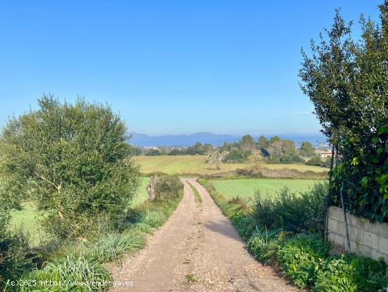 Terreno en Manacor. - BALEARES