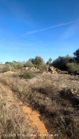 Terreno urbanizable en Campos - BALEARES