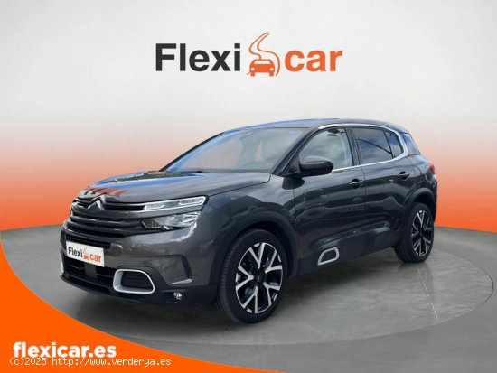 Citroën C5 Aircross BlueHdi 96kW (130CV) S&S Feel - Vizcaya