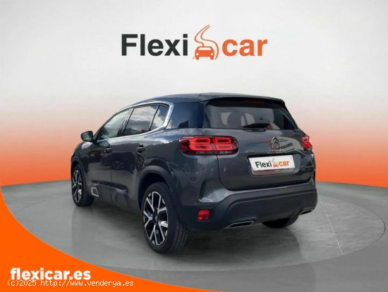 Citroën C5 Aircross BlueHdi 96kW (130CV) S&S Feel - Vizcaya