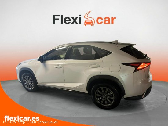 Lexus NX 2.5 300h Business Navigation 2WD - Palma