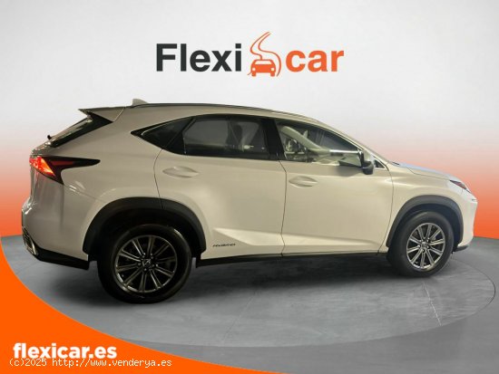 Lexus NX 2.5 300h Business Navigation 2WD - Palma