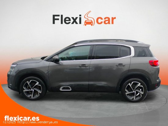 Citroën C5 Aircross BlueHdi 96kW (130CV) S&S Feel - Cáceres