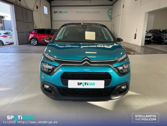 Citroën C3  BlueHDi 75KW (100CV) S&S Shine - Almería