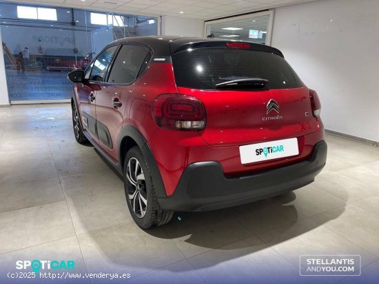 Citroën C3  BlueHDi 75KW (100CV) S&S Shine - Almería