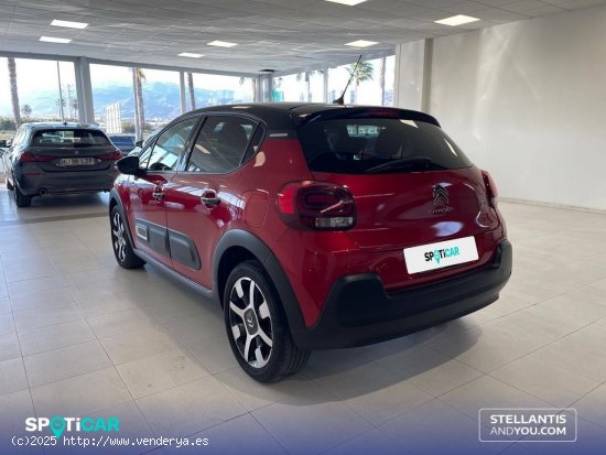 Citroën C3  BlueHDi 75KW (100CV) S&S Shine - Almería