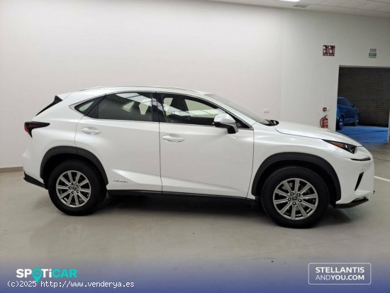 Lexus NX  2.5 300h  Navigation 2WD Business - Huelva