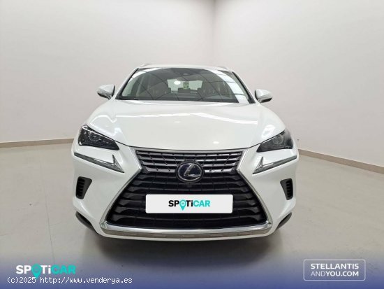 Lexus NX  2.5 300h  Navigation 2WD Business - Huelva