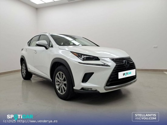 Lexus NX  2.5 300h  Navigation 2WD Business - Huelva