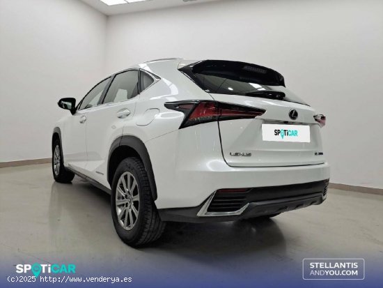 Lexus NX  2.5 300h  Navigation 2WD Business - Huelva