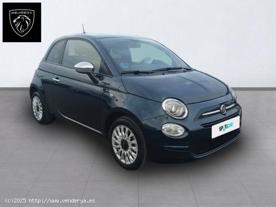 Fiat 500   1.0 Hybrid 51KW (70 CV) Club - Valencia