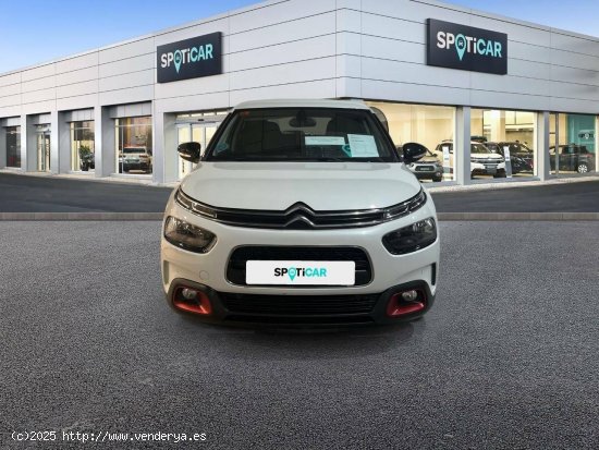 Citroën C4 Cactus  BlueHDi 88KW (120CV) EAT6 Shine - JEREZ DE LA FRONTERA