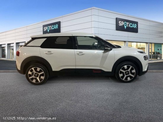 Citroën C4 Cactus  BlueHDi 88KW (120CV) EAT6 Shine - JEREZ DE LA FRONTERA