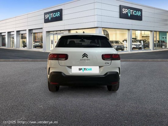 Citroën C4 Cactus  BlueHDi 88KW (120CV) EAT6 Shine - JEREZ DE LA FRONTERA