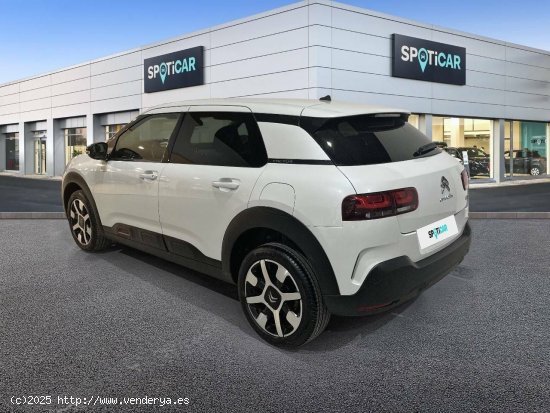 Citroën C4 Cactus  BlueHDi 88KW (120CV) EAT6 Shine - JEREZ DE LA FRONTERA