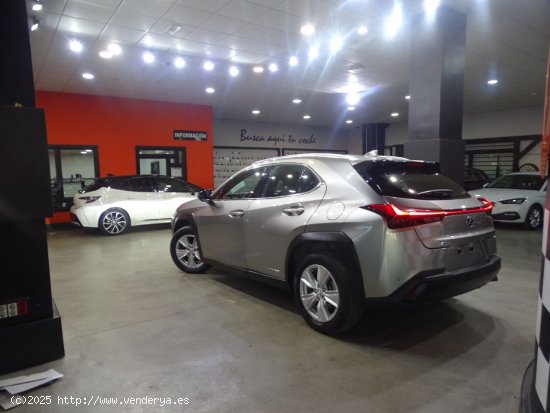 Lexus UX 2.0 250h Business Navigation - Madrid