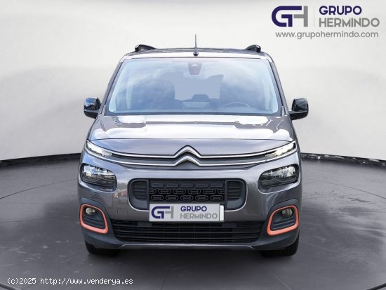 Citroën Berlingo TALLA M BLUE HDI 100 CV SHINE - Ponteareas